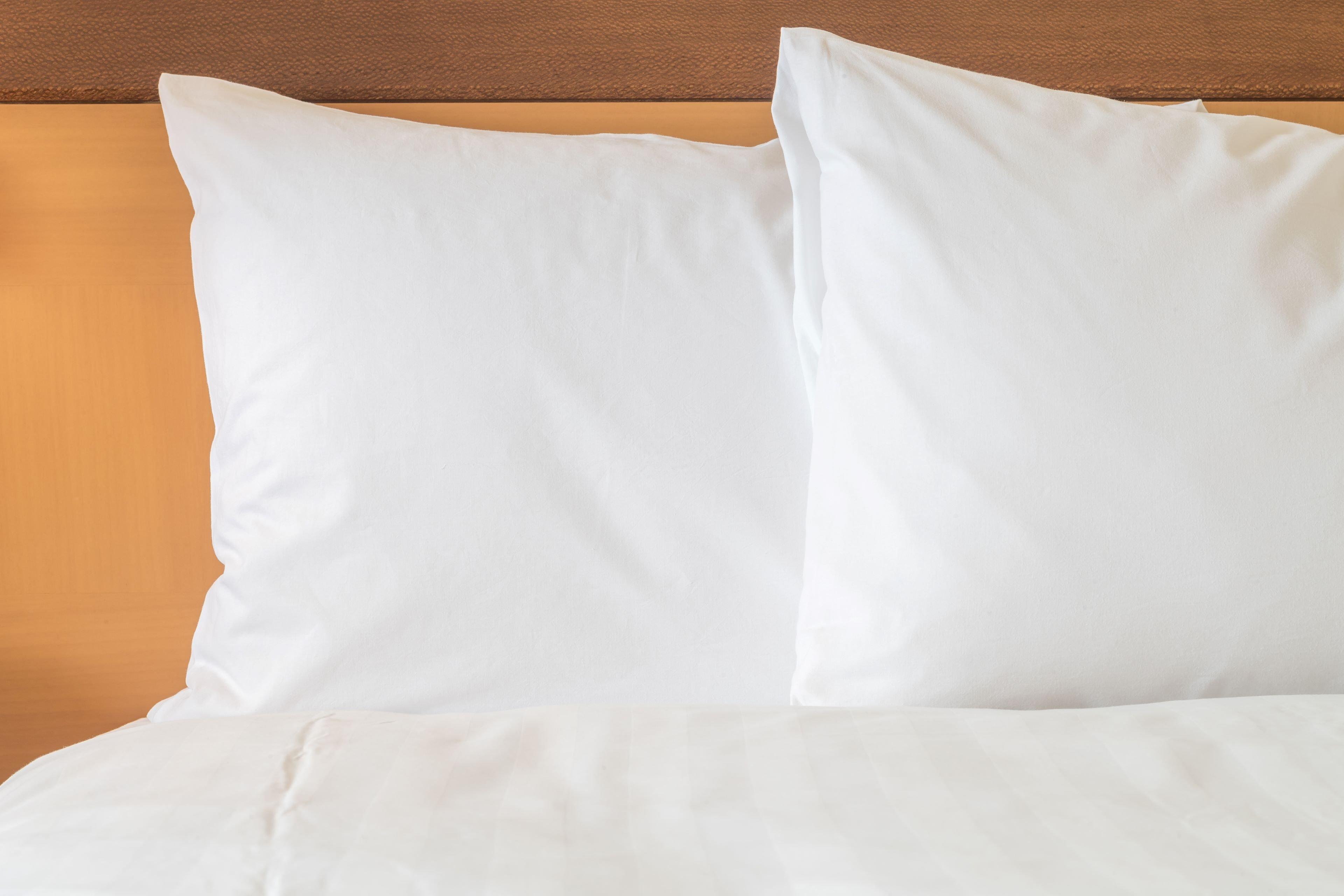 Holiday Inn Express Hotel & Suites Rochester By Ihg Εξωτερικό φωτογραφία